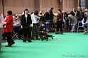 Crufts2011_2 602